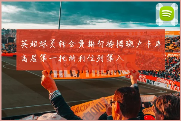 英超球员转会费排行榜揭晓卢卡库高居第一托纳利位列第八