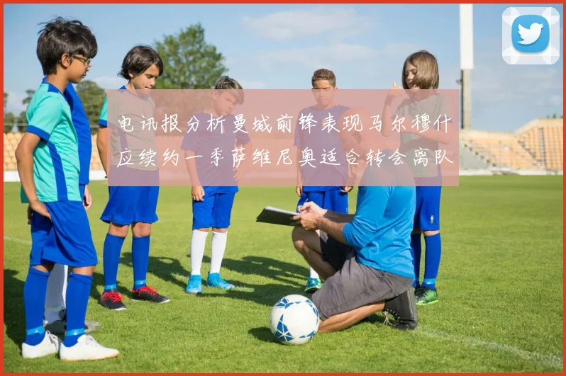 电讯报分析曼城前锋表现马尔穆什应续约一季萨维尼奥适合转会离队