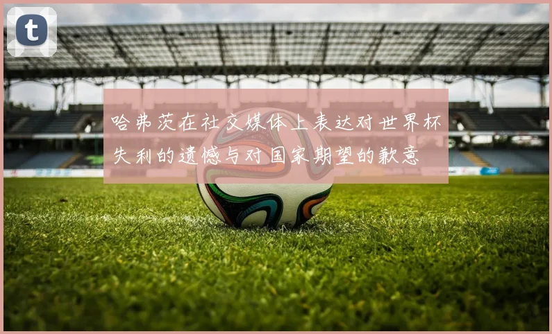 哈弗茨在社交媒体上表达对世界杯失利的遗憾与对国家期望的歉意